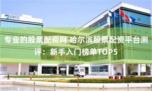 专业的股票配资网 哈尔滨股票配资平台测评：新手入门榜单TOP5
