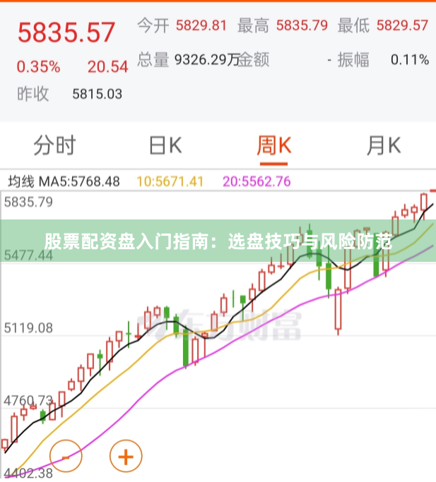 股票配资盘入门指南：选盘技巧与风险防范